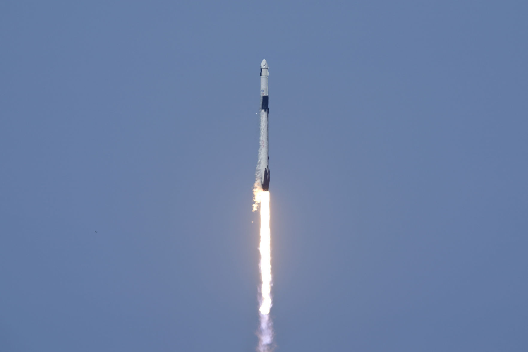 Home Launch